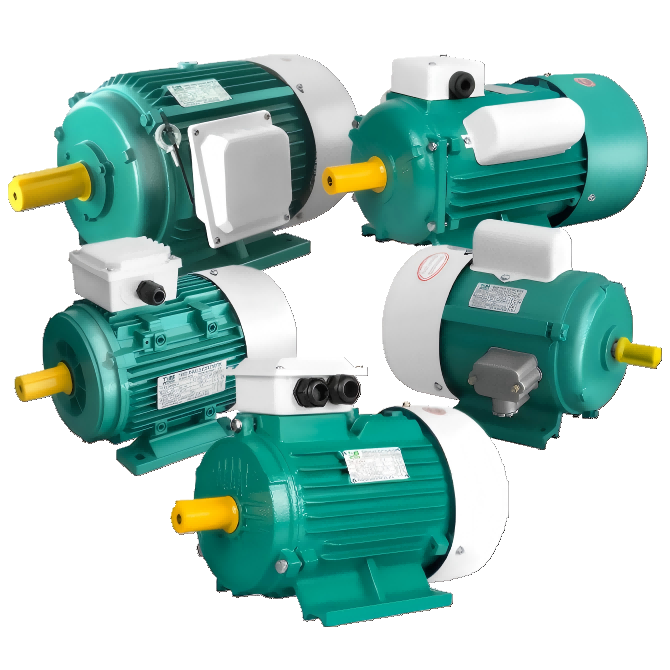 induction motor